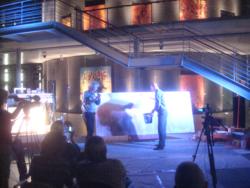 Kunst-Salon im Landratsamt 4
