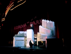 Konzert im Europapark.