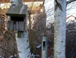 Orgelpfeife mit Vogelhaus 1.